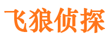 点军市婚外情调查